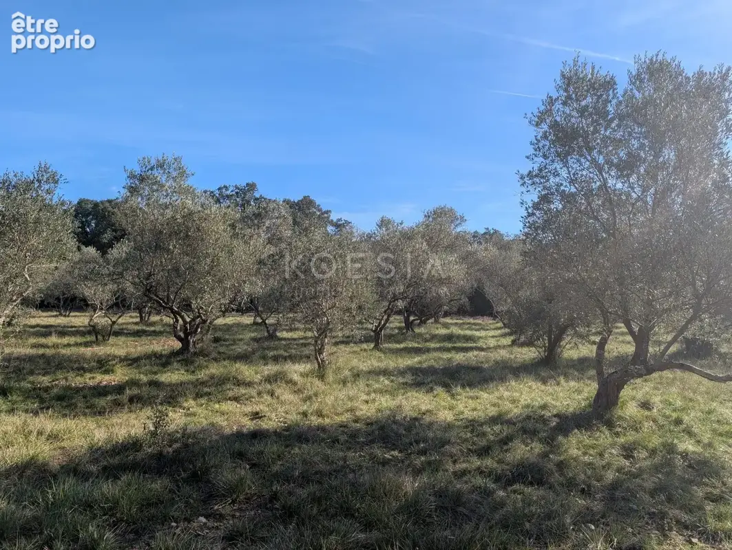 Terrain 2 000 m² à vendre à Sauve (30610) - photo 4