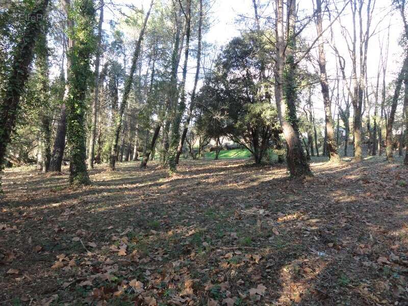 Terrain à VILLEPINTE