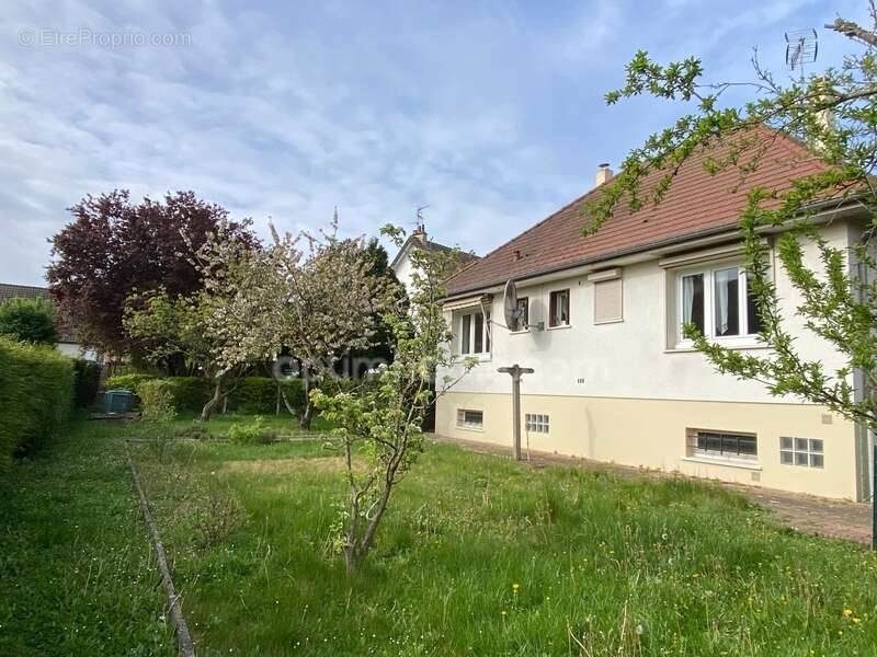 Maison à IFS