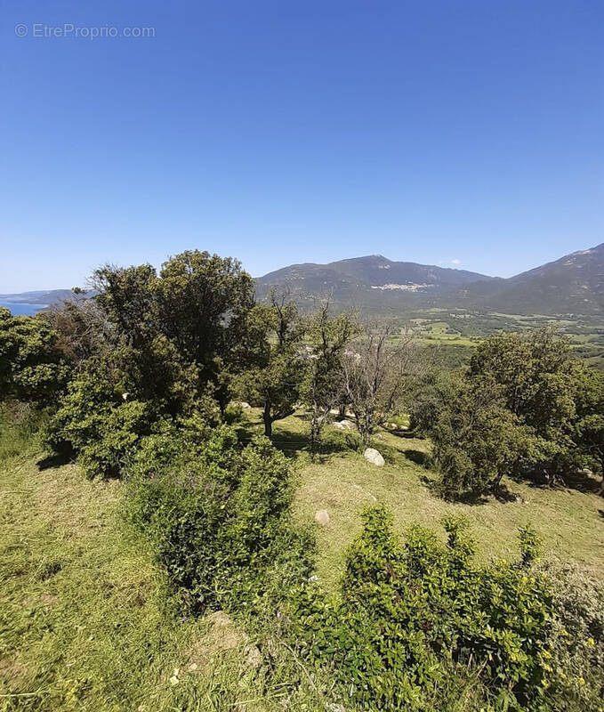 Terrain à VIGGIANELLO