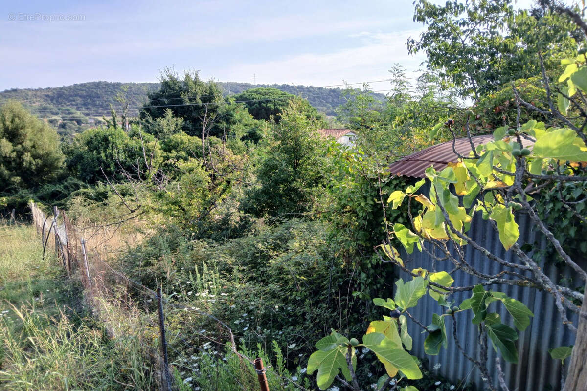 Terrain à REYNES