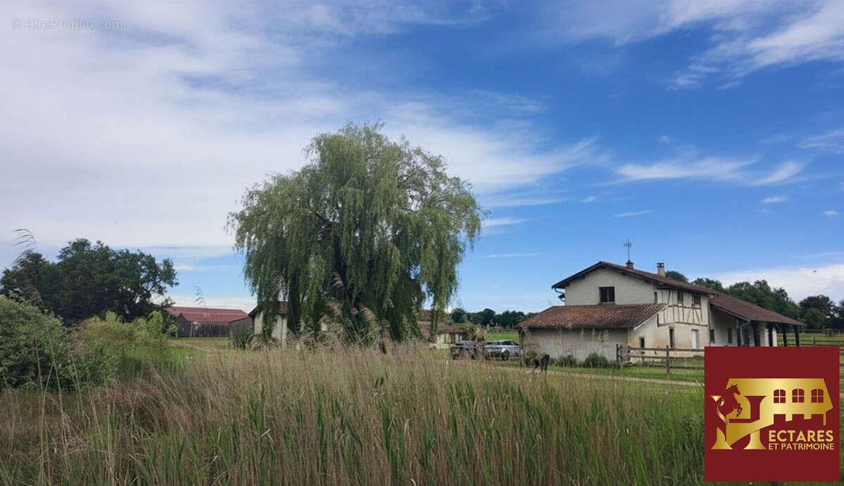 Maison à NEUVILLE-LES-DAMES