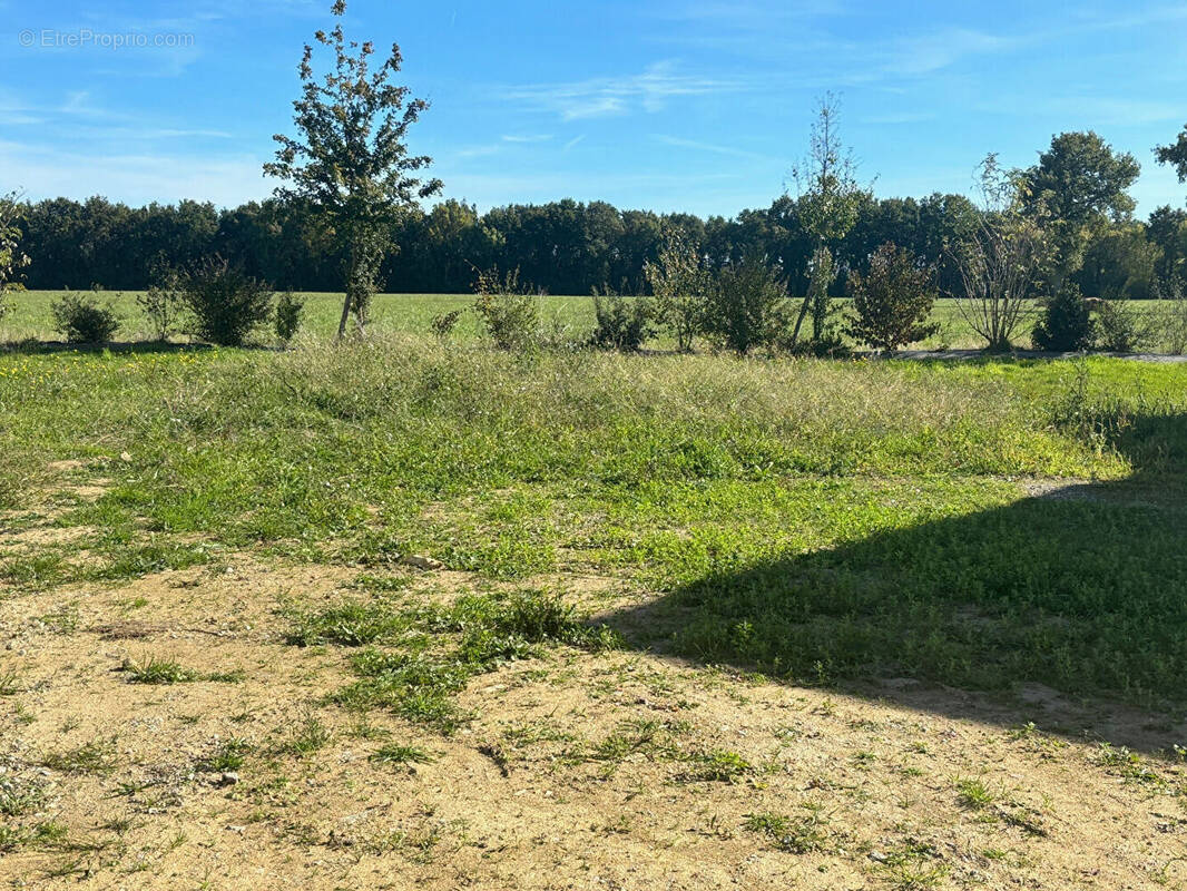 Terrain à SAINT-MARS-DU-DESERT
