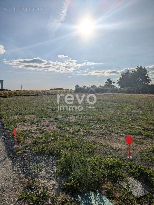 Terrain à CORCOUE-SUR-LOGNE