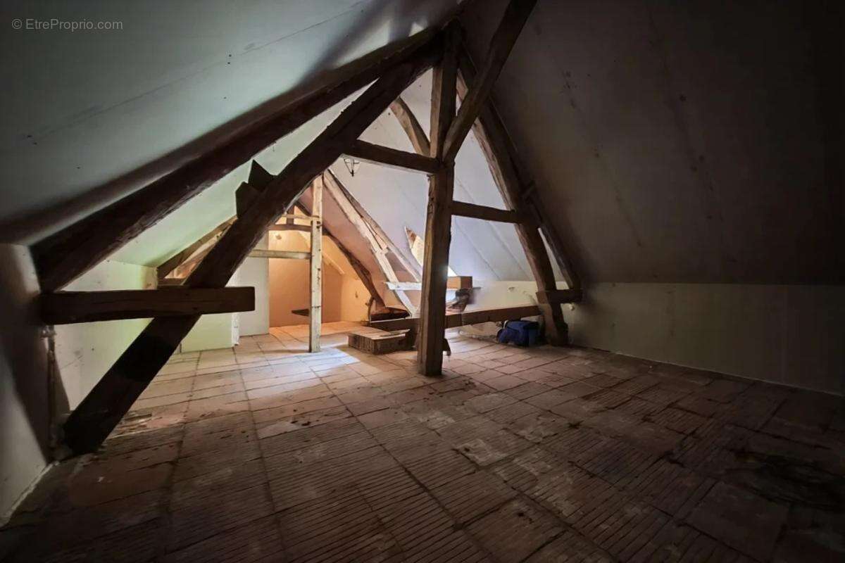 Maison 263 m² à Massay  - photo 34