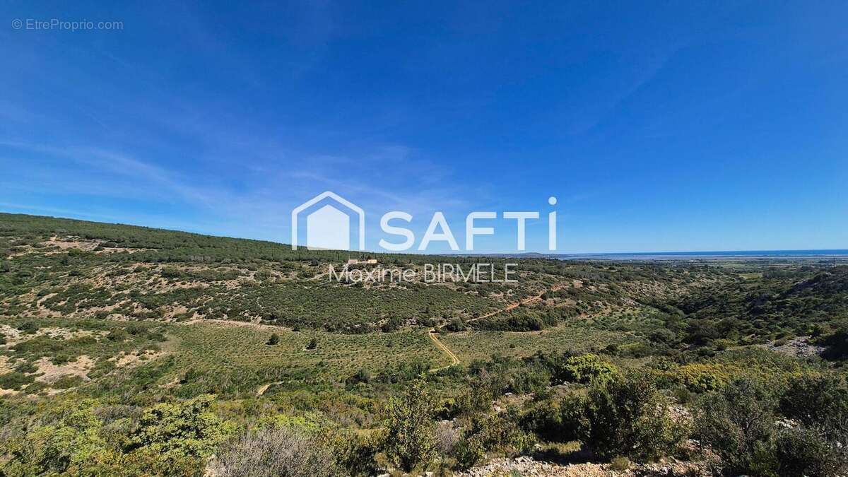 Photo 3 - Terrain à TREILLES