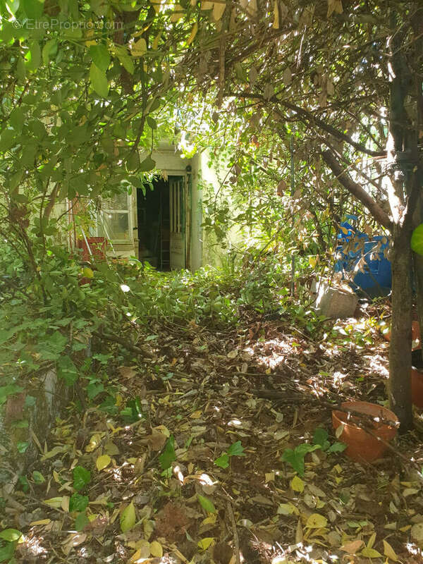 Maison à ARS-EN-RE