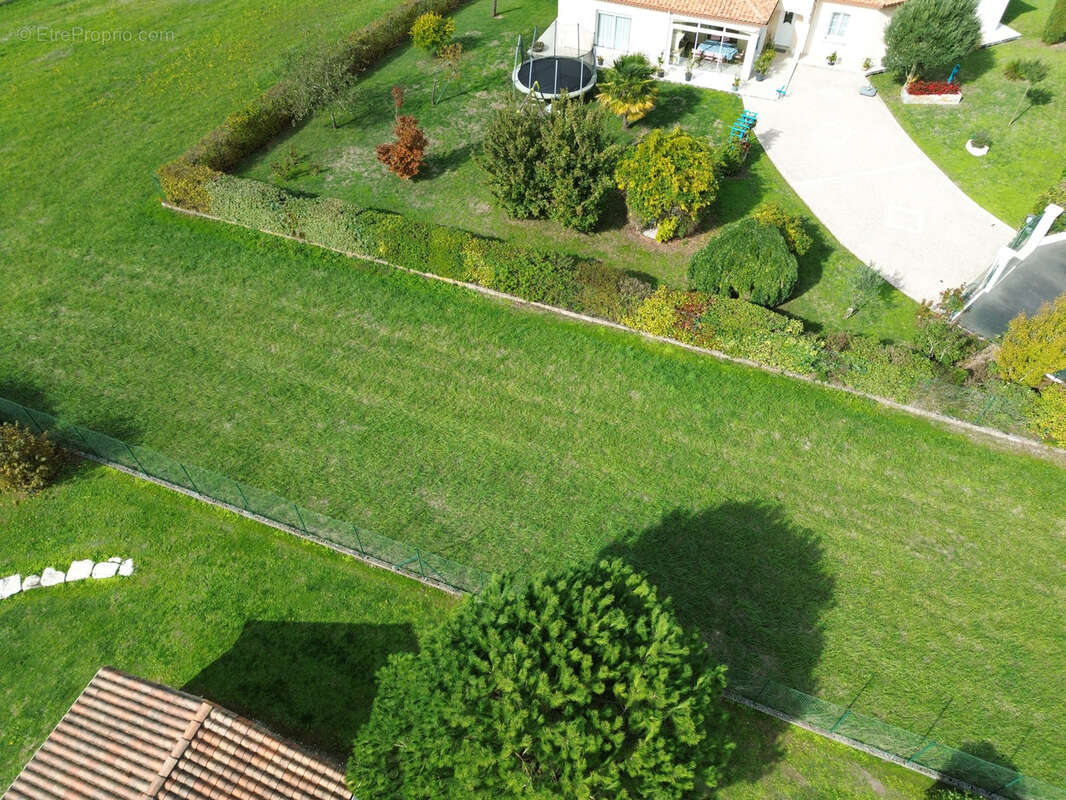 Terrain à BARBEZIEUX-SAINT-HILAIRE