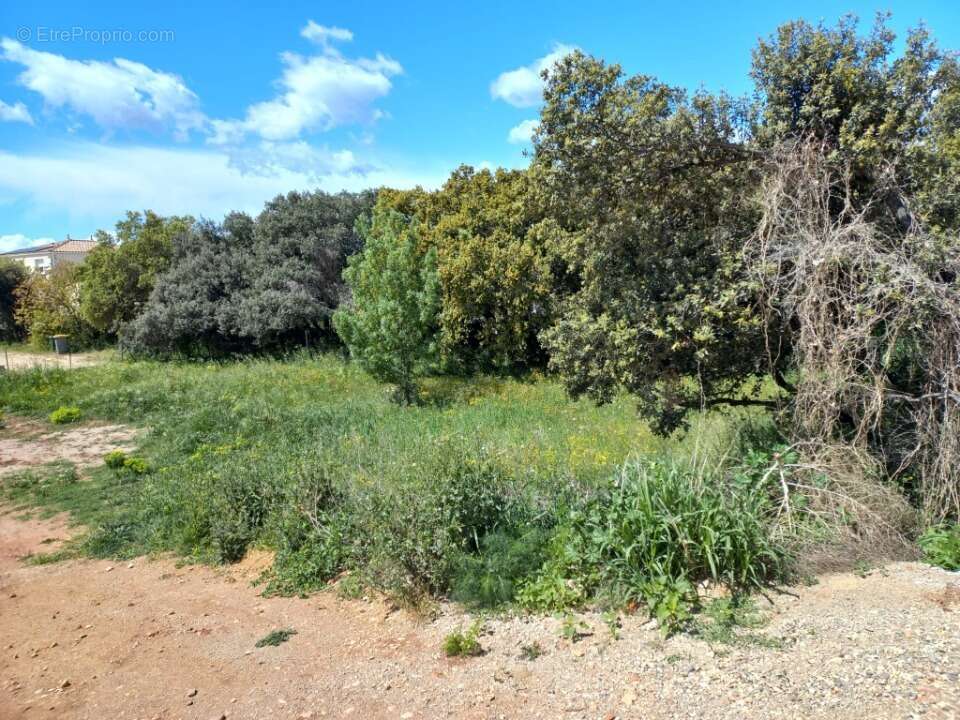 Terrain 500 m² à Plan-De-Cuques  - photo 2