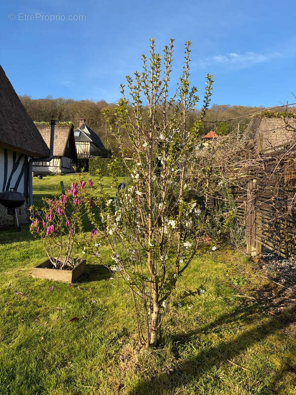 Maison à MARAIS-VERNIER