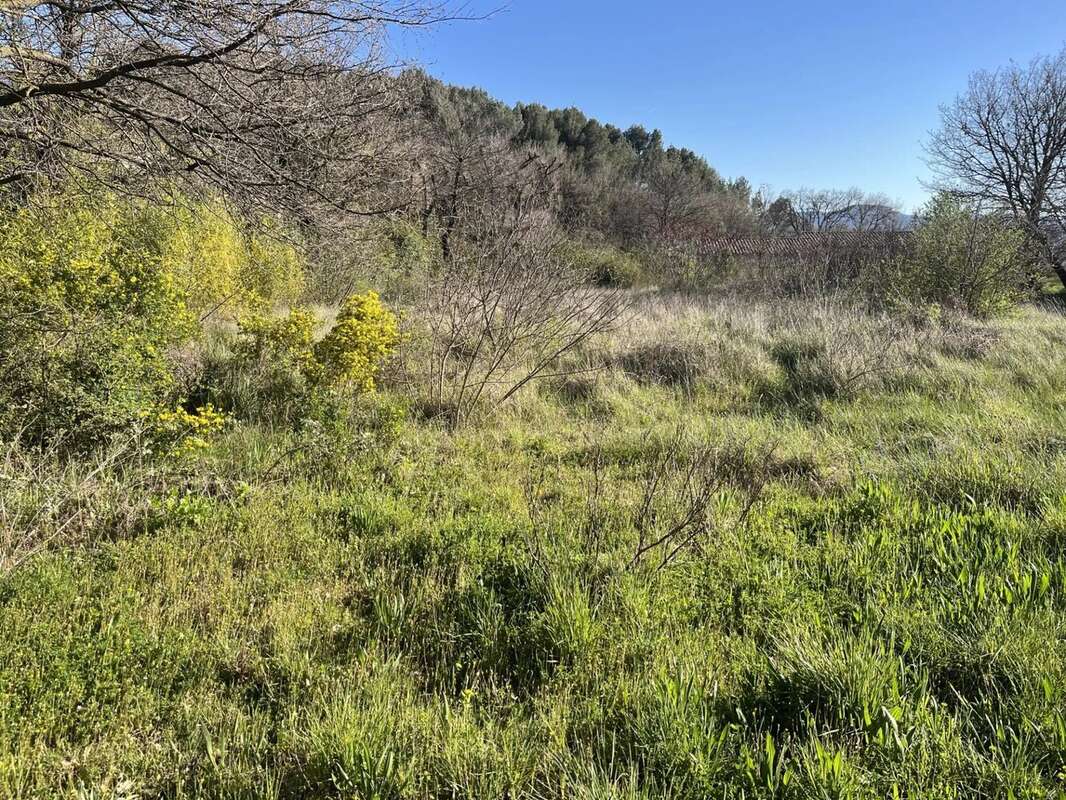 Terrain à LAURIS