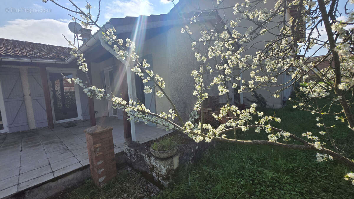 Maison à DAUX