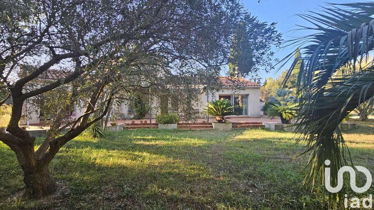 Photo 3 - Maison à MILLAS