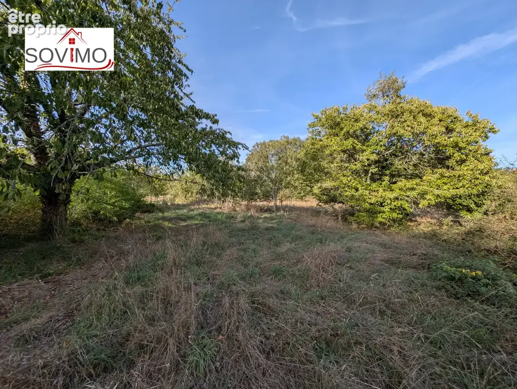 Authentique maison de campagne indépendante avec gîte, piscine et grand terrain en face - photo 47