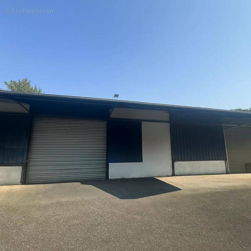 ENTREPOT AUCH 800 M2 plus maison 200 M2 - photo 2