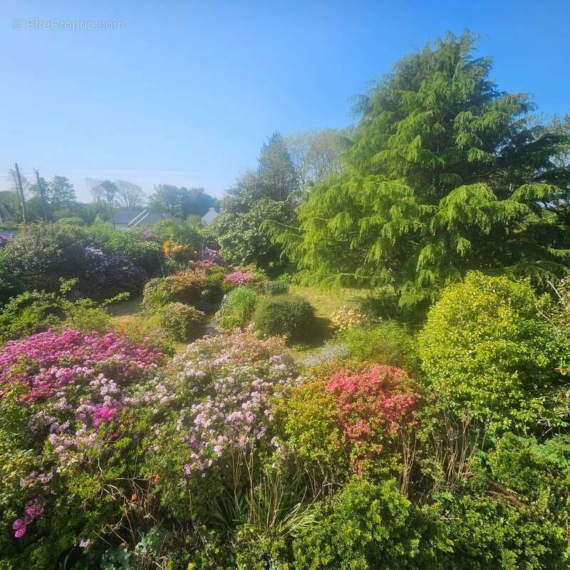 Maison au calme sur 3300 m2 de terrain arboré - photo 6