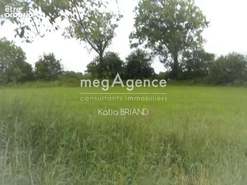 terrain  agricole  arboré - photo 3