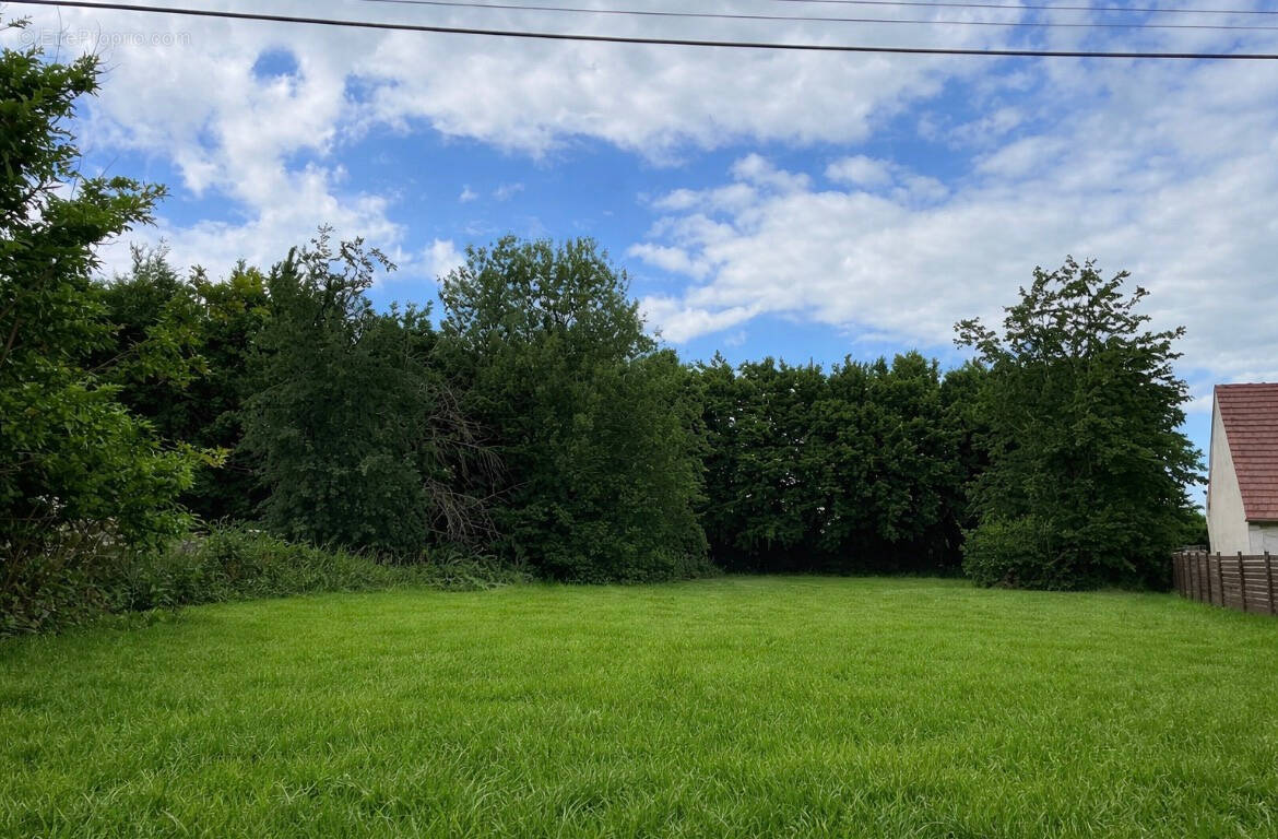 Terrain à VILLESELVE