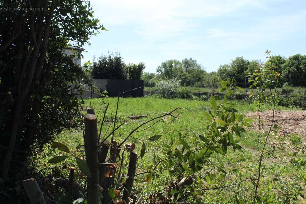 Terrain à RILLIEUX-LA-PAPE