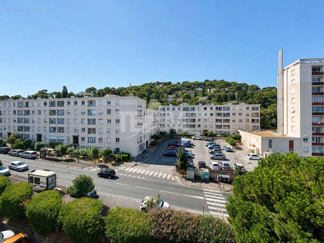 T3 vue dégagée - photo 2