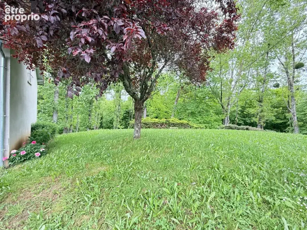 EN EXCLUSIVITE Maison 184m², 4 chambres avec dépendances sur 4396m² de terrain 149 900 € - photo 67
