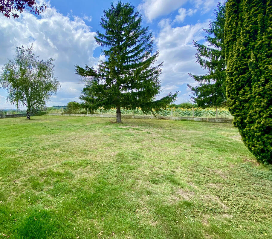 Terrain à ESCALQUENS