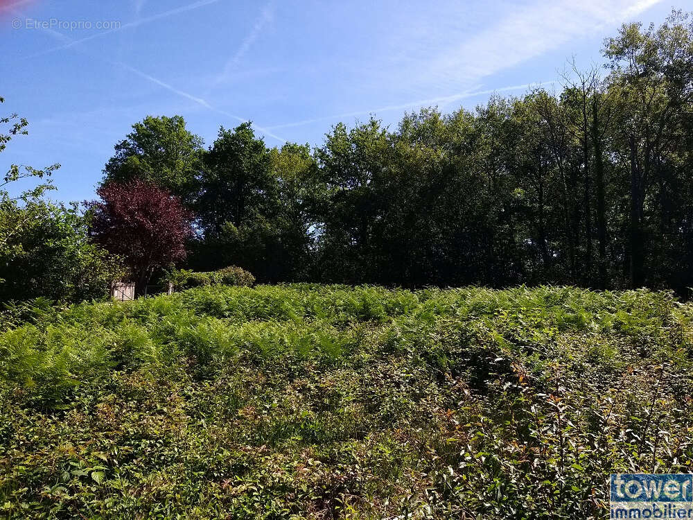 Terrain à SERS
