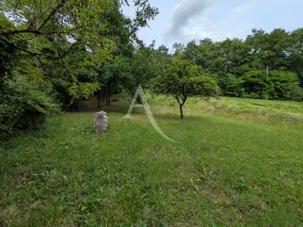 Terrain à ONZAIN