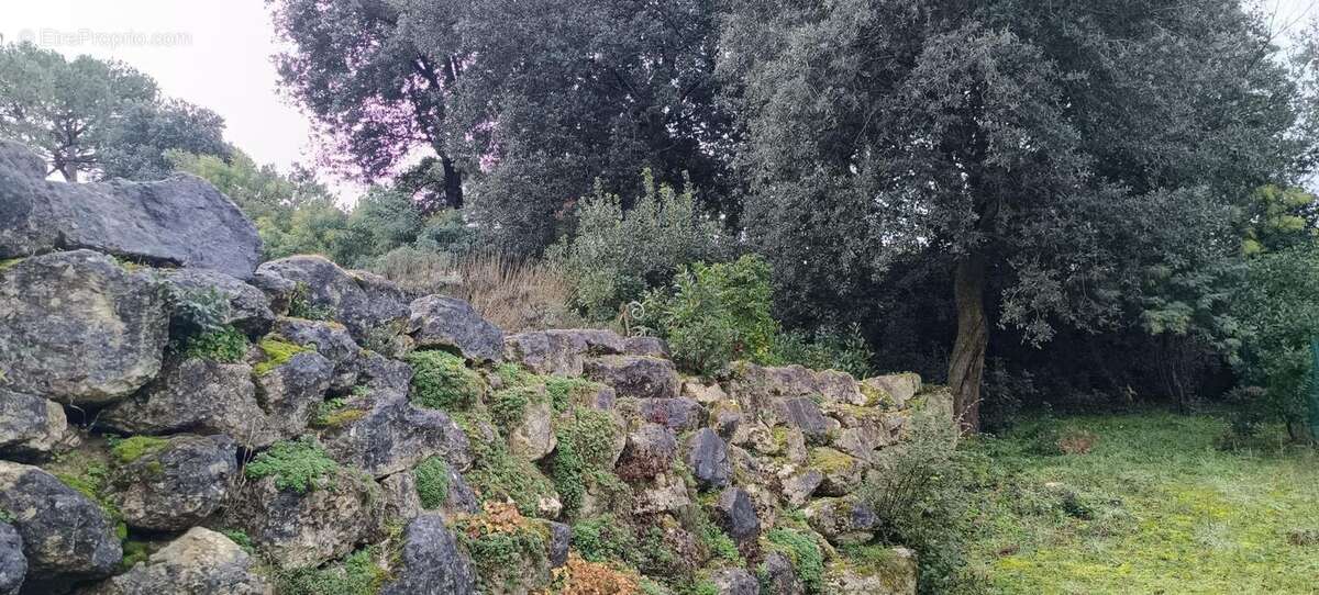Maison à MESCHERS-SUR-GIRONDE