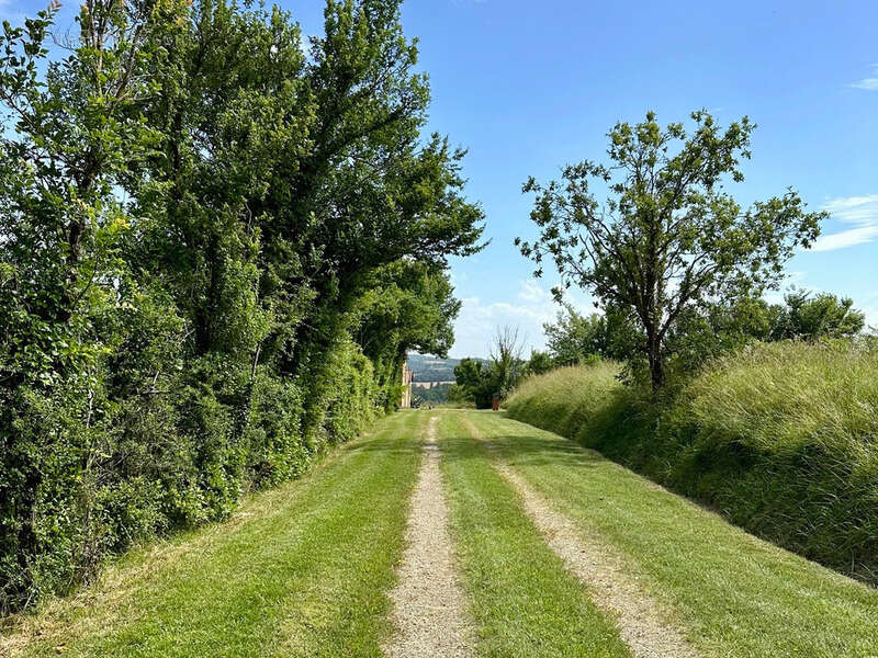 Dpt Gers (32), à vendre proche de LUPIAC- Ensemble de 3 maisons -  P6 de 187 m² - Terrain de 29366  m2 - photo 18