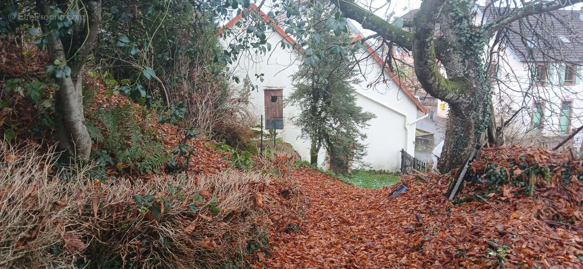 Maison à ROUGEGOUTTE