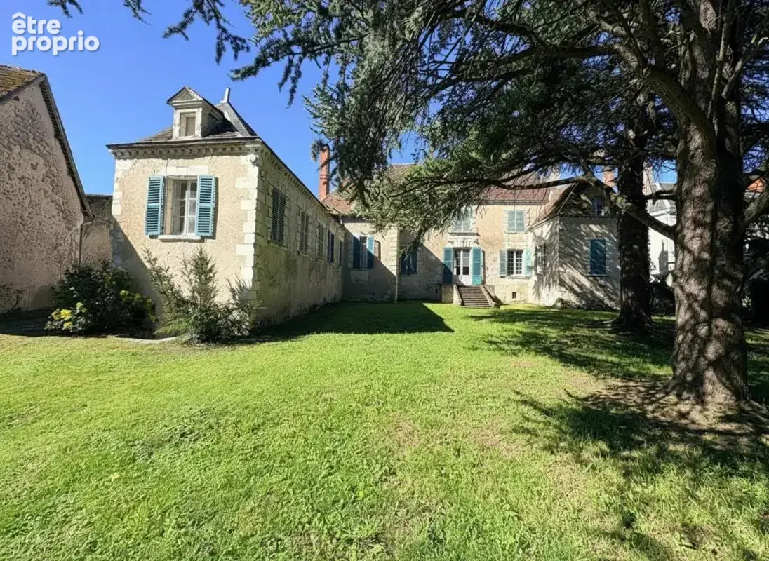 Majestueux Hôtel Particulier à Châtillon-sur-Indre - photo 3