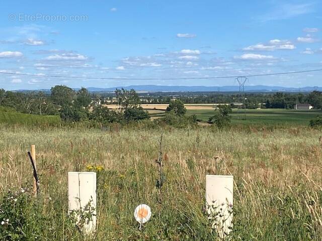 Terrain à SAINT-POURCAIN-SUR-SIOULE