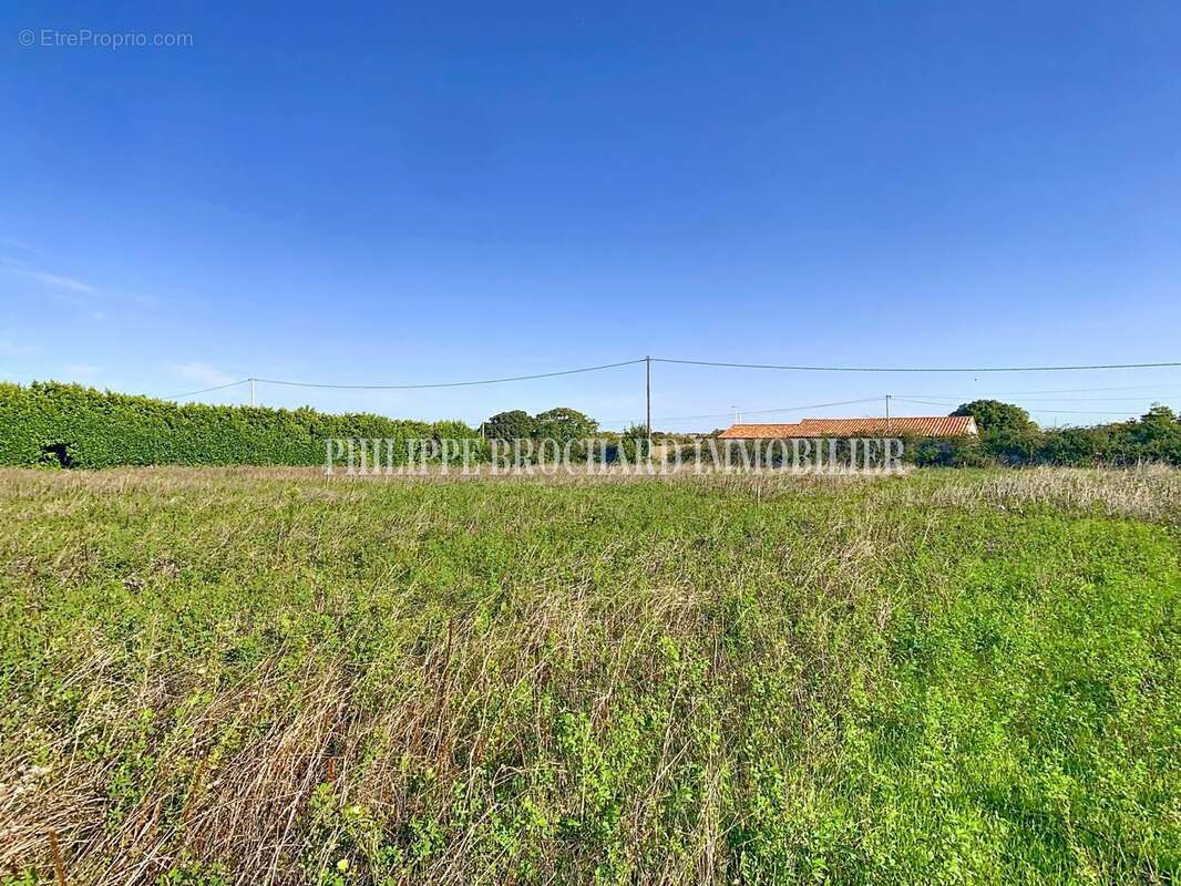 Terrain à MOUZEUIL-SAINT-MARTIN