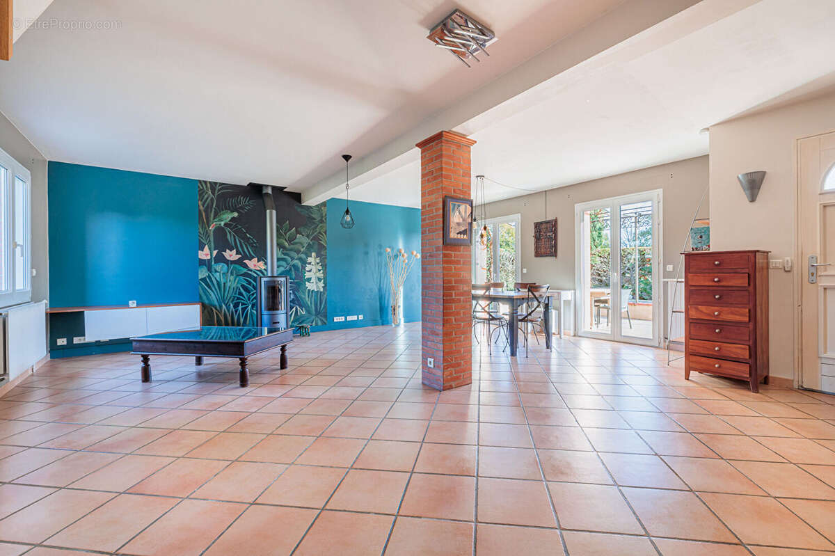 Maison à VILLENEUVE-TOLOSANE