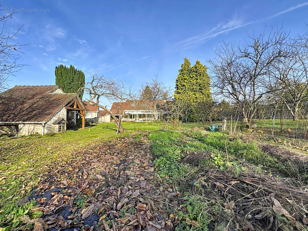 Maison à MONTMIRAIL