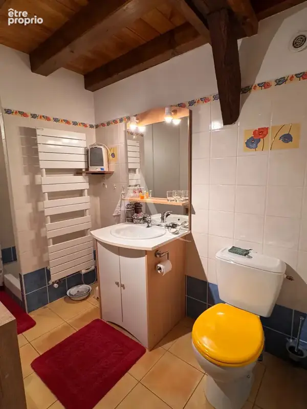 LONGERE RENOVEE A VENDRE - Romorantin-Lanthenay 145 m2 - photo 15