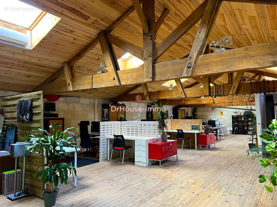 Commerce 380 m² à Begles  - photo 6