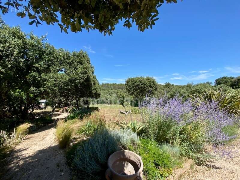 Maison à vendre avec vue panoramique à SAINT MAXIMIN (30) - photo 29
