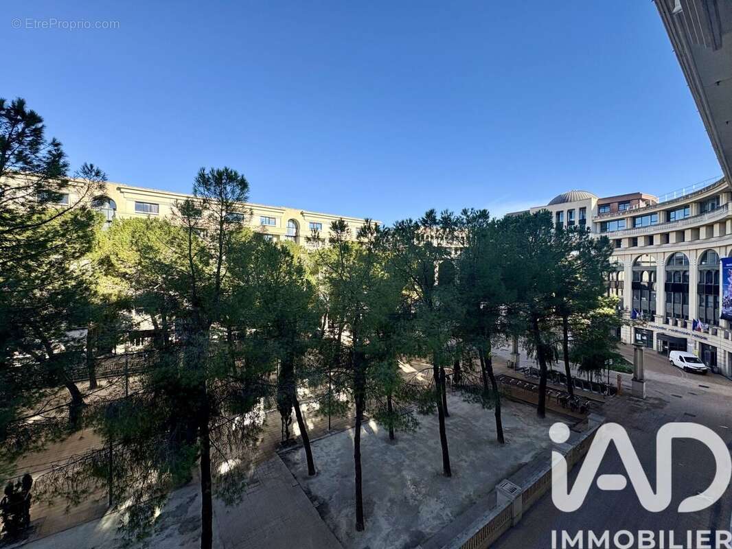 Photo 9 - Appartement à MONTPELLIER