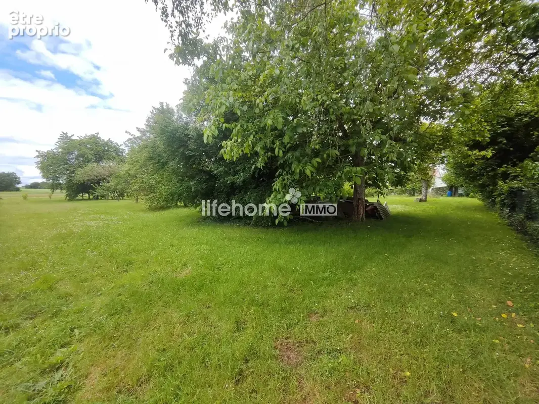 Terrain à ARDENTES