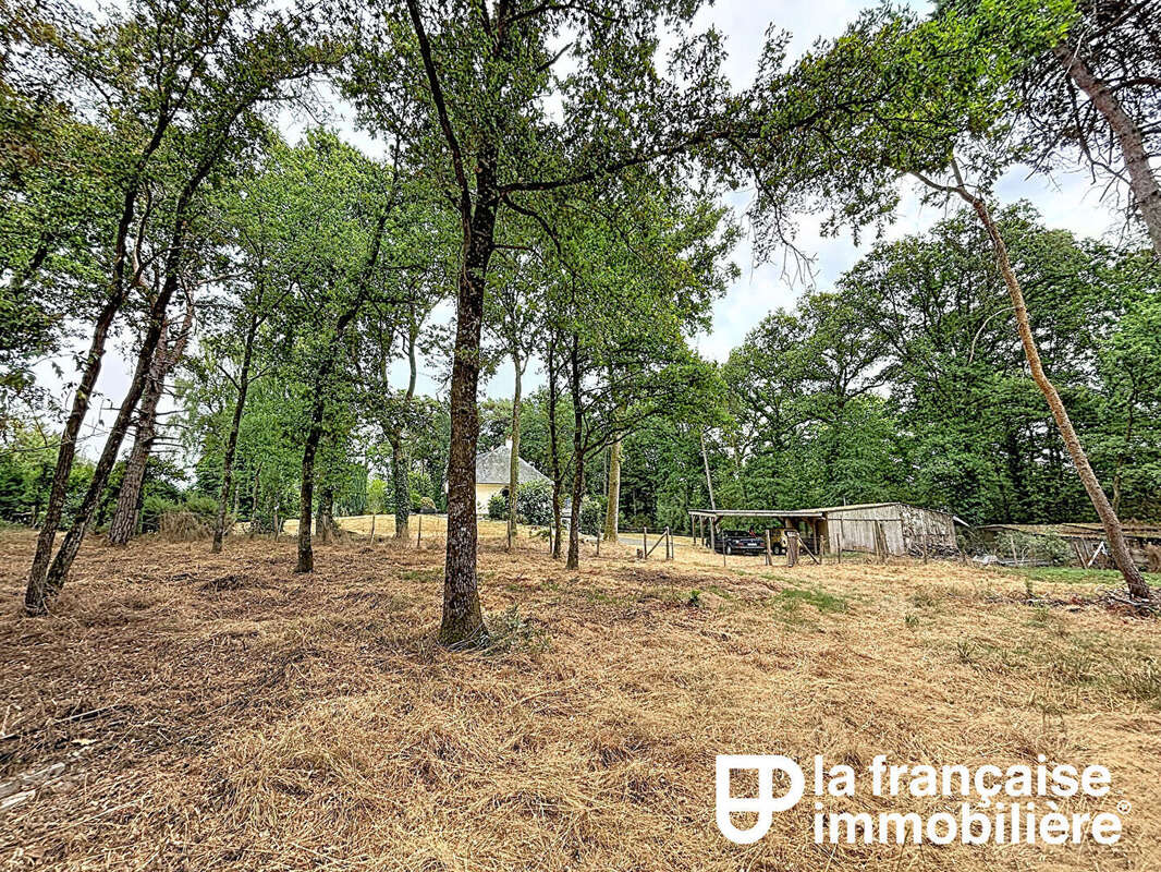 A vendre -Maison rénovée -5 chambres - terrain arboré d'environ 1 hectare - sous-sol complet - photo 17