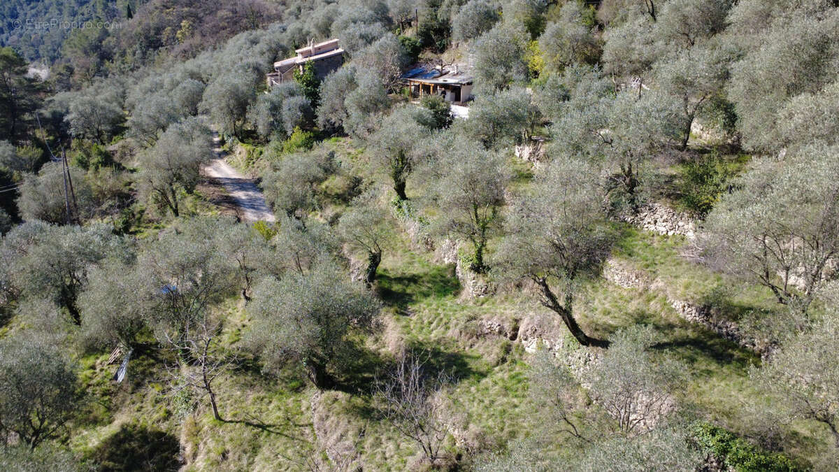 Maison à BREIL-SUR-ROYA