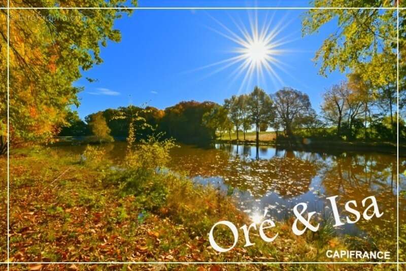 Terrain à SAINT-DESIRE