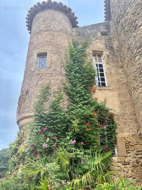 MARCIAC(32): ancienne SEIGNEURIE avec BEAU CHATEAU XIV sur 3,5ha, cachée, au bout du chemin, sans voisin, en campagne, 500m2 hab - photo 42