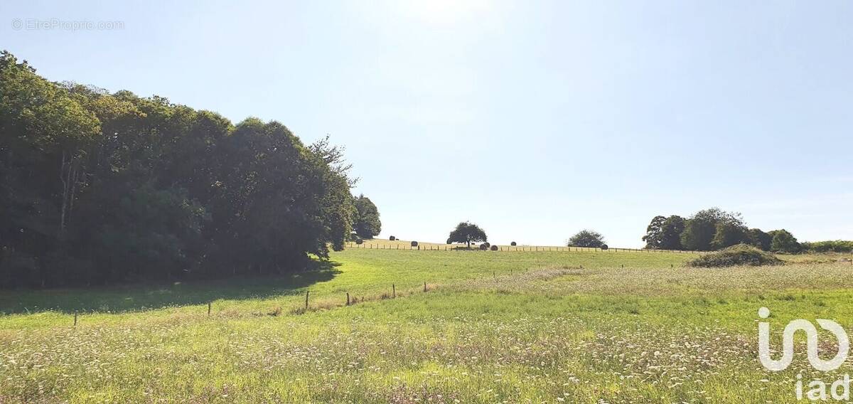 Photo 1 - Terrain à PALAZINGES