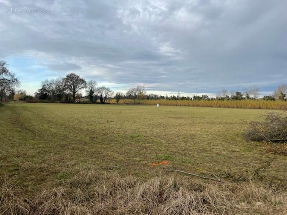 Terrain à SAINT-MARTIN-DE-CRAU