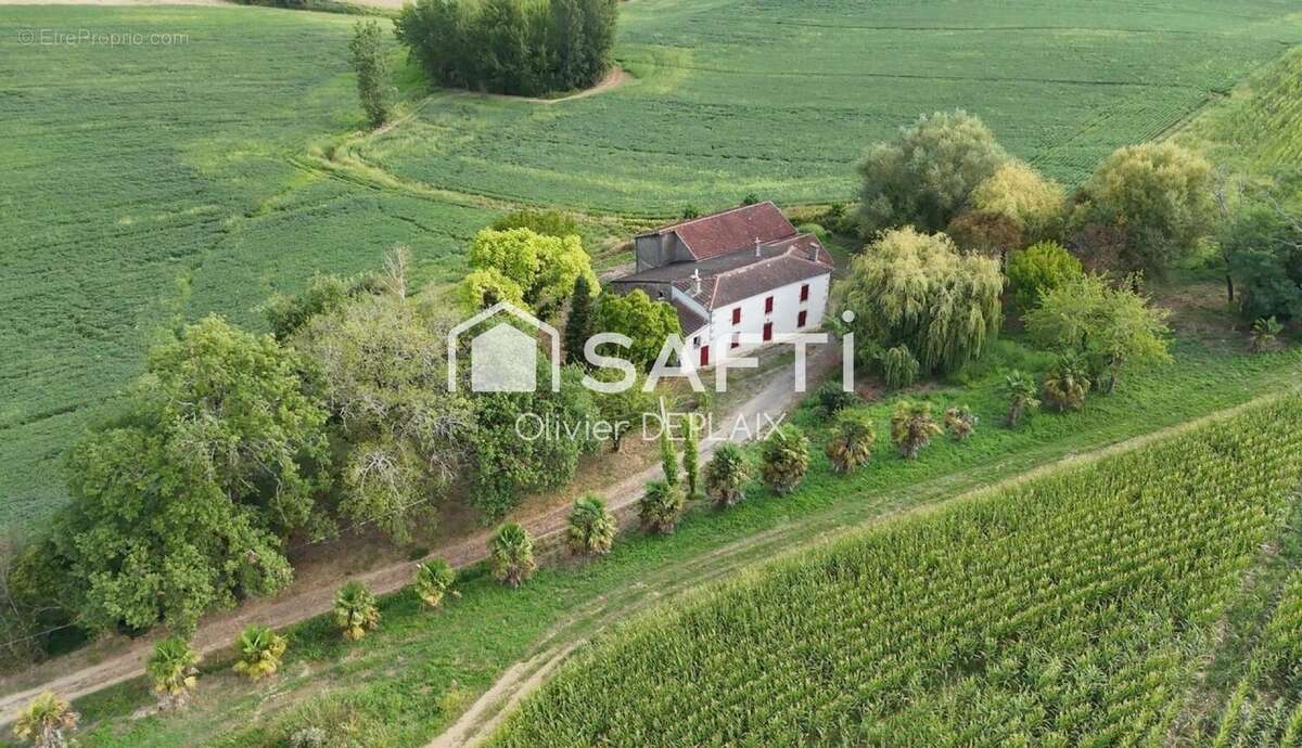 Photo 8 - Maison à MONTAGNAC-SUR-AUVIGNON