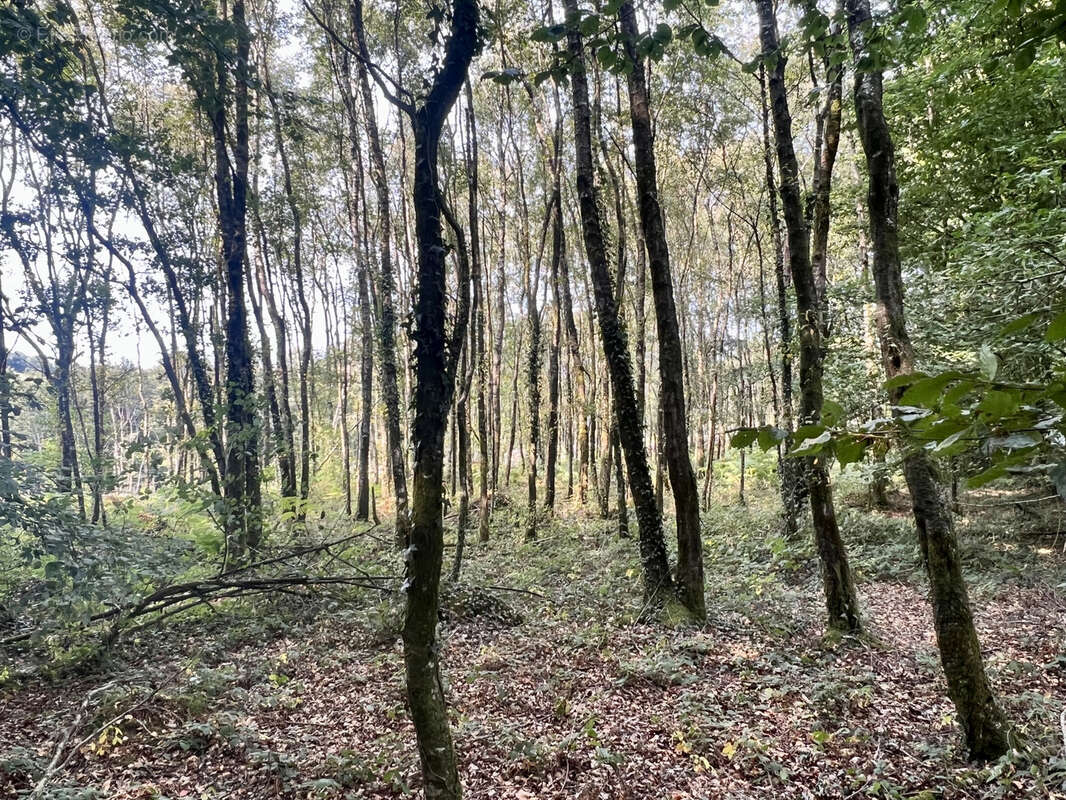 Terrain à TREBRY