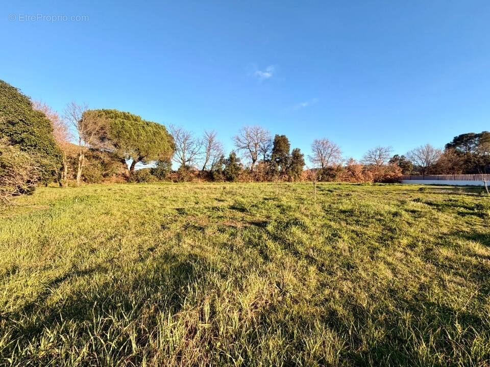 Terrain 350 m² à Pierrefeu-Du-Var  - photo 1
